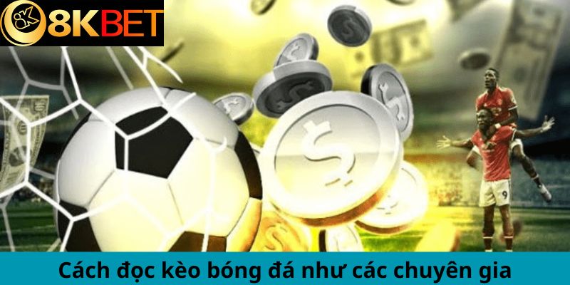 Cách đọc kèo bóng đá như các chuyên gia